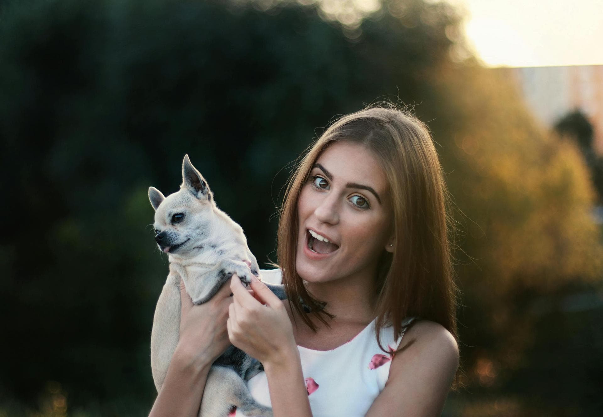 Annual Vaccination With Kennel Cough Prices in Preston